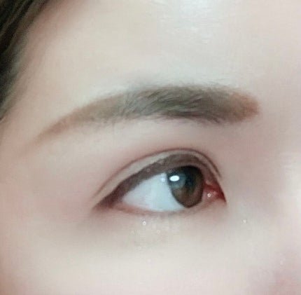 アイブロウ カラー コンパクト/ANNA SUI/パウダーアイブロウを使ったクチコミ(3枚目)