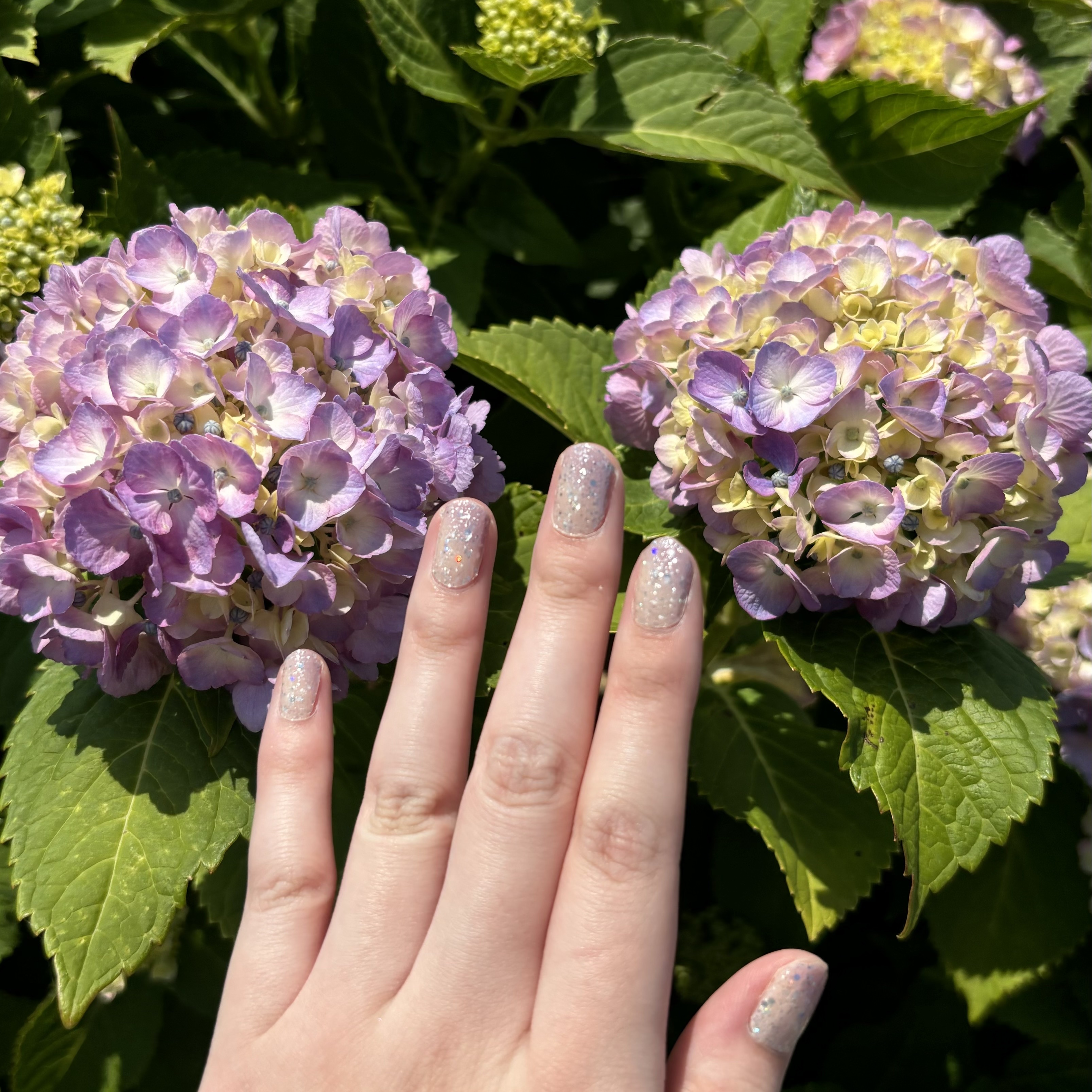 INCOCO インココ  マニキュアシート/インココ/ネイルシールを使ったクチコミ（2枚目）