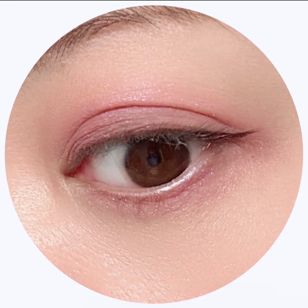 ドラマティックアイカラー (パウダー)/(クリーム)/マキアージュ/アイシャドウパレットを使ったクチコミ（3枚目）