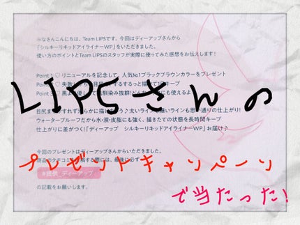 【旧品】シルキーリキッドアイライナーWP/D-UP/リキッドアイライナーを使ったクチコミ(1枚目)