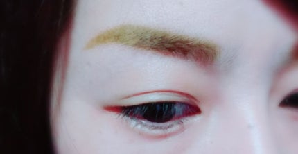 フジコ眉ティントSV/Fujiko/眉ティントを使ったクチコミ(4枚目)