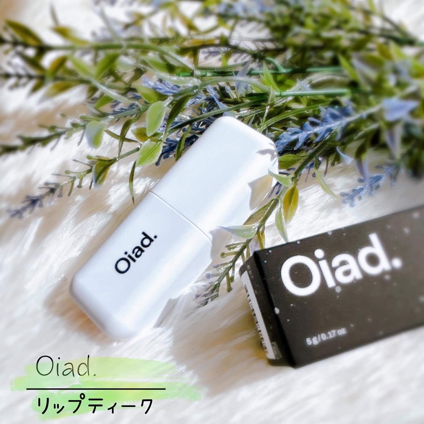 リップティーク/oiad/口紅を使ったクチコミ（1枚目）