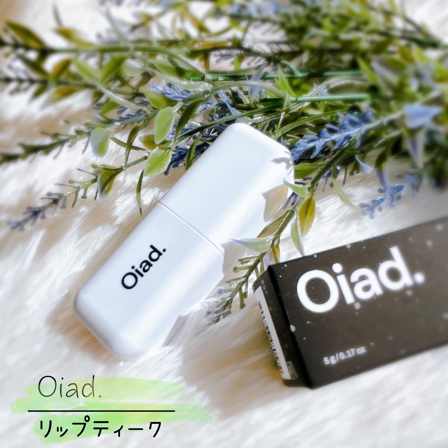 リップティーク/oiad/口紅を使ったクチコミ(1枚目)