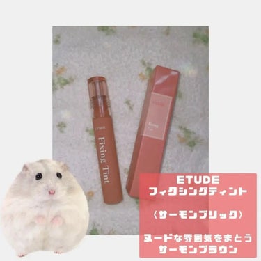 フィクシングティント サーモンブリック（新パッケージ）/ETUDE/口紅を使ったクチコミ（1枚目）