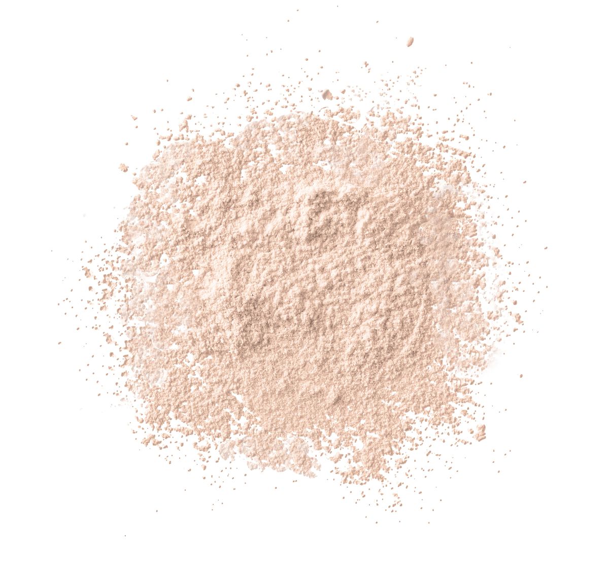 01 トランスルーセント