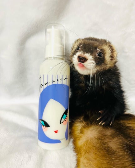 タマ コンデンス みるきぃセラム/Tamazon企画/ヘアミルクを使ったクチコミ(4枚目)