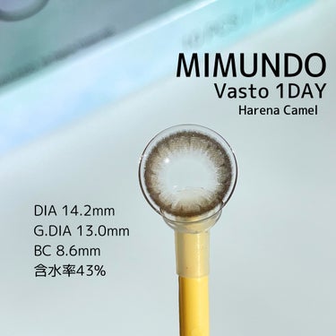 Vasto/mimundo/ワンデー（１DAY）カラコンを使ったクチコミ（3枚目）