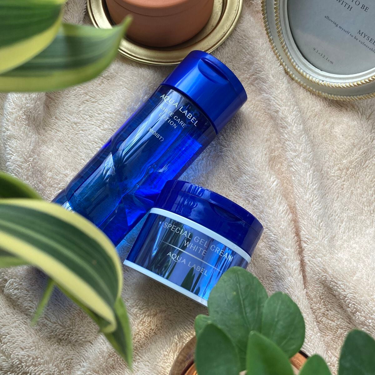 ブライトニングケア ローション M(医薬部外品)/アクアレーベル/化粧水を使ったクチコミ(1枚目)