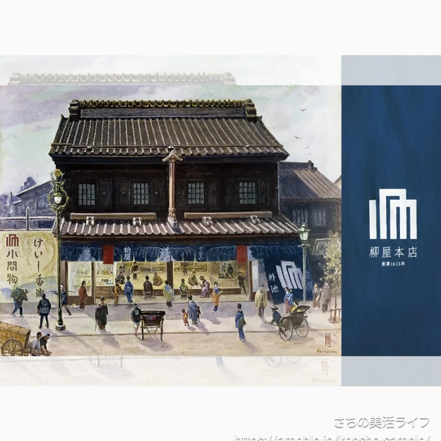 レディース毛乳源 薬用育毛エッセンス＜ボリュームケア＞　Ｎ/レディース毛乳源/頭皮ローションを使ったクチコミ（2枚目）