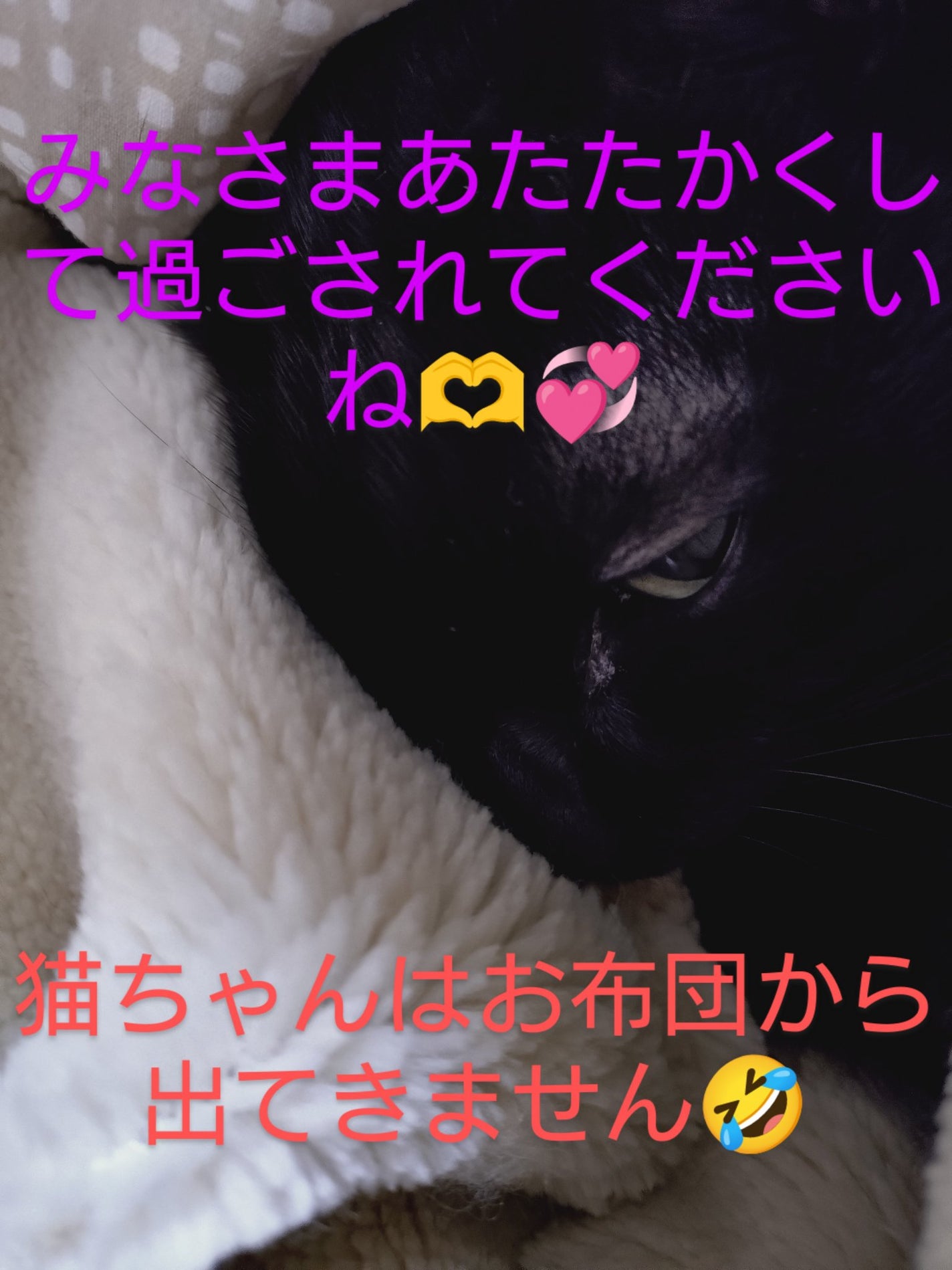 アロマティックローズ/バブ/入浴剤を使ったクチコミ(2枚目)