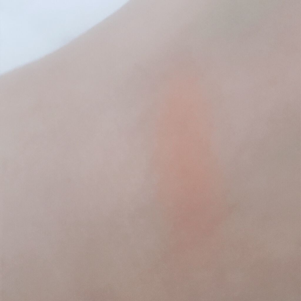 ラッキーフレンズ 2トーンチーク/ETUDE/パウダーチークを使ったクチコミ（3枚目）