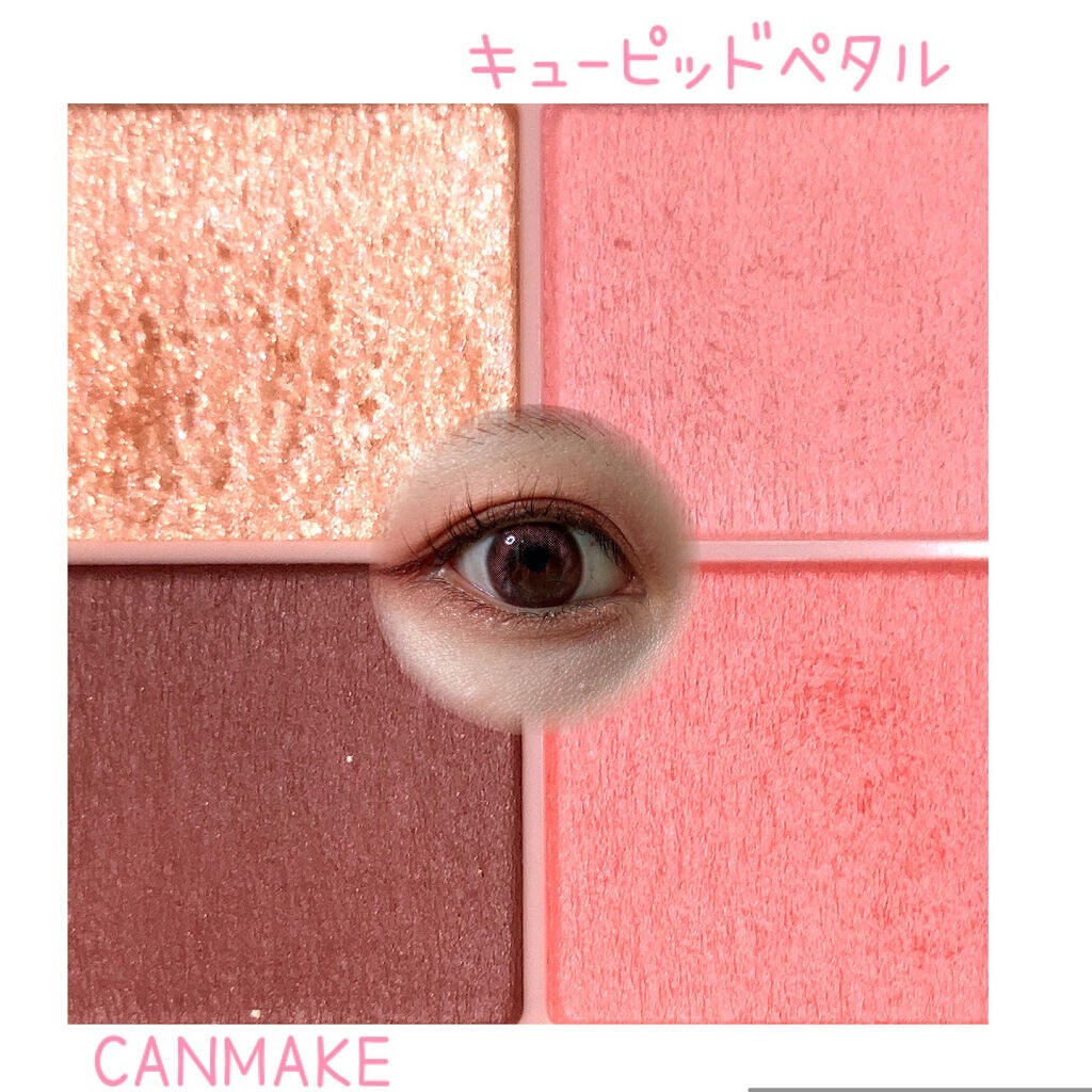 シルキースフレアイズ(マットタイプ)/キャンメイク/アイシャドウパレットを使ったクチコミ(1枚目)