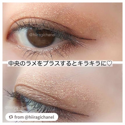 パーフェクトスタイリストアイズ/キャンメイク/アイシャドウパレットを使ったクチコミ(6枚目)