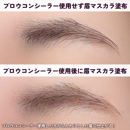 エテュセ アイエディション(ブロウコンシーラー)/ettusais/その他アイブロウを使ったクチコミ(6枚目)