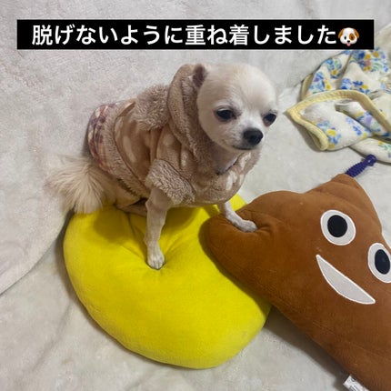 ソレイユ ネージュ オード パルファム スプレィ/TOM FORD BEAUTY/香水(レディース)を使ったクチコミ(7枚目)