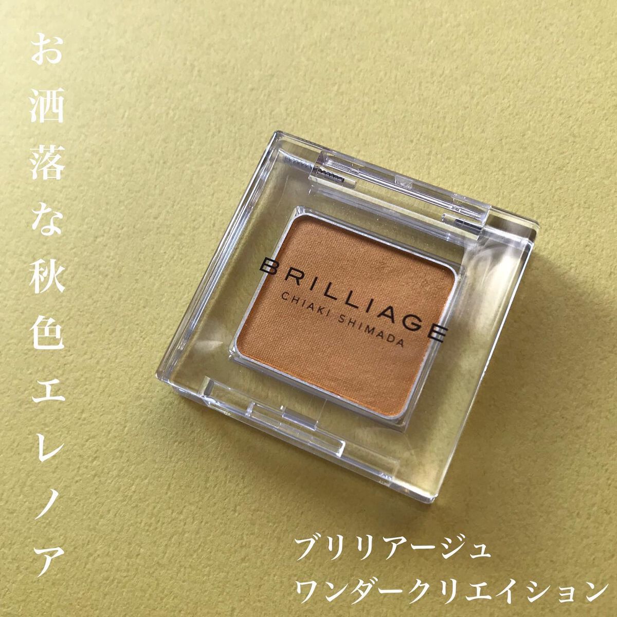 ワンダークリエイション  F03-エレノア/ブリリアージュ/単色アイシャドウを使ったクチコミ（1枚目）