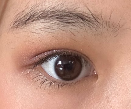 ミネラルクラッシィシャドー/エトヴォス/アイシャドウパレットを使ったクチコミ(8枚目)