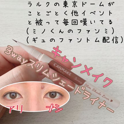 3wayスリムシェードライナー/キャンメイク/リキッドアイライナーを使ったクチコミ(1枚目)