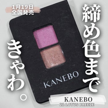 カネボウ アイカラーデュオ/KANEBO/アイシャドウパレットを使ったクチコミ（1枚目）