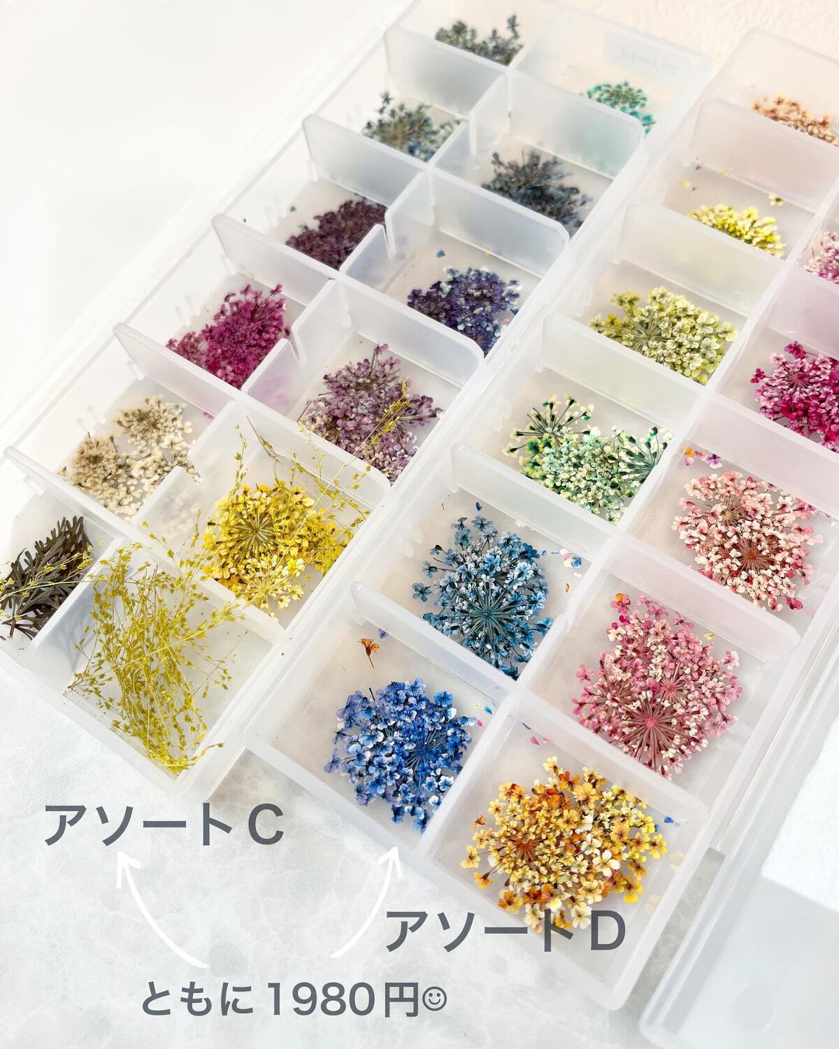 ナチュラルドライフラワー Bシリーズ / S♡Mint