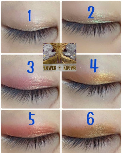 リトルエンジェル12色アイシャドウパレット/FlowerKnows/アイシャドウパレットを使ったクチコミ(6枚目)