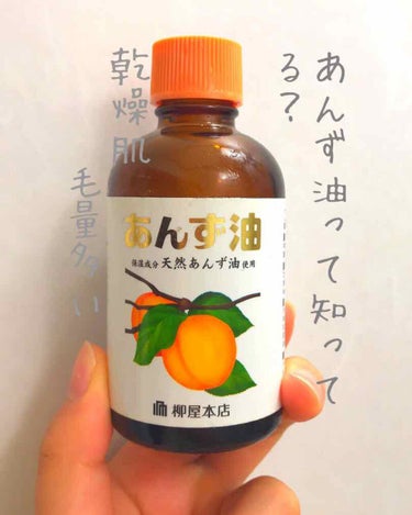 今回は私がずっと愛用しているあんず油を紹介します！

私としては乾燥肌の方や髪がボリュームがあってゴワゴワする方にオススメします。

私の髪の毛は、太くて固くて毛量が多いです😓

最近は乾燥してすこしフ