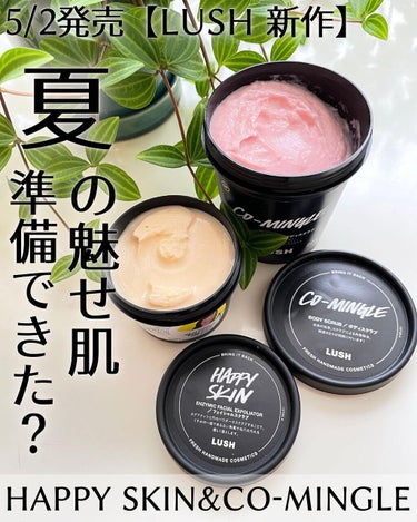 【夏肌を磨こう❗️LUSHの新作フェイス＆ボディスクラブ】
LUSHの新作
「ハッピースキン」と「コーミングル」
をお試しさせて頂きました☆

様々な大きさに粉砕されたタグアナッツ配合のフェイス＆ボディ