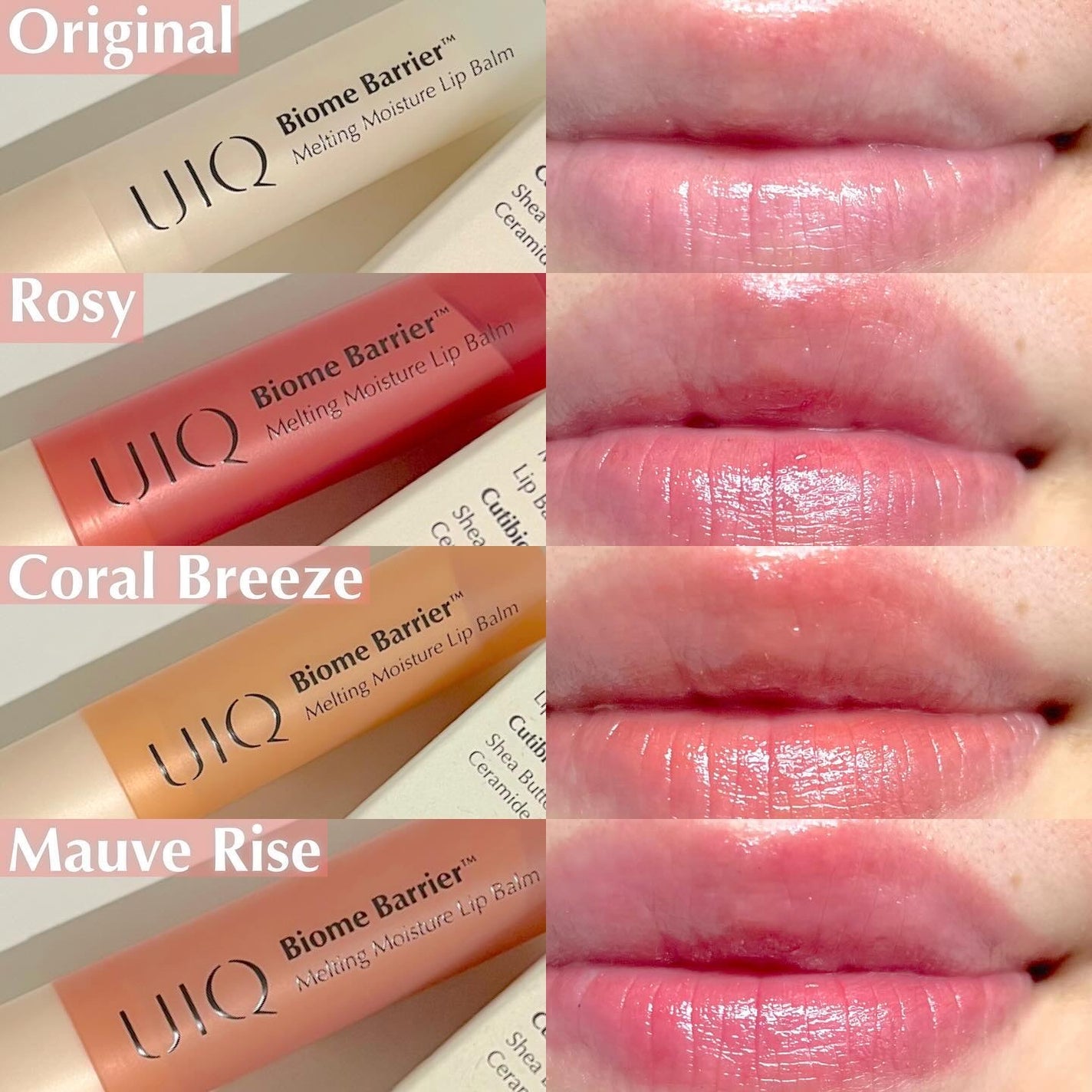 バイオームバリアメルティングモイスチャーリップバーム/UIQ/リップバームを使ったクチコミ(4枚目)