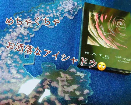 ダークローズシャドウ/KATE/アイシャドウパレットを使ったクチコミ(1枚目)