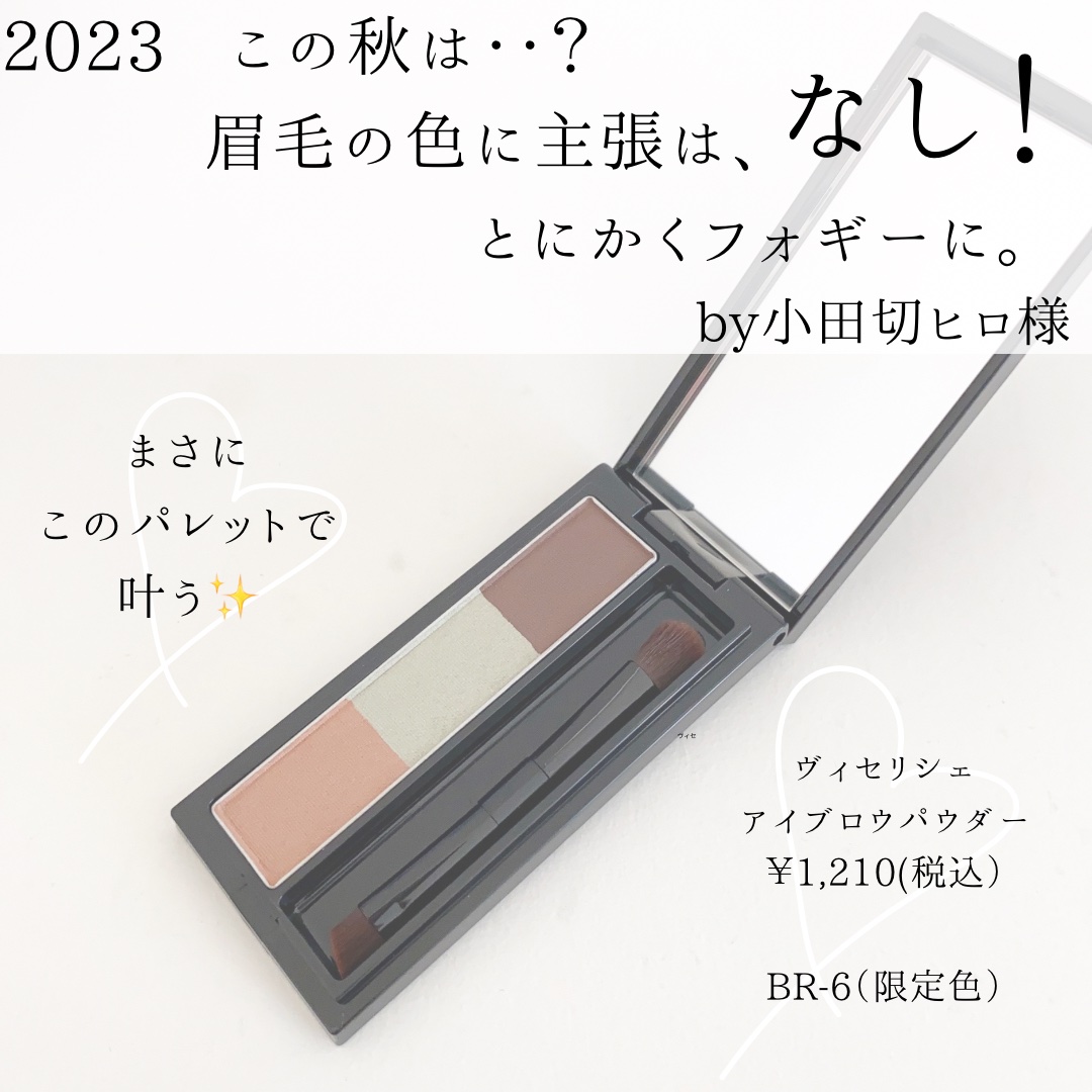 ヴィセ リシェ アイブロウパウダー BR-6 ニュアンスミント(限定)/Visée/パウダーアイブロウを使ったクチコミ（2枚目）