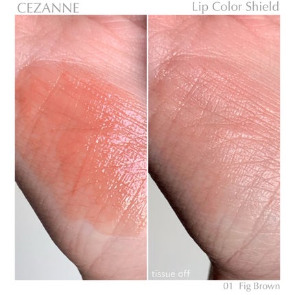 リップカラーシールド/CEZANNE/口紅を使ったクチコミ(3枚目)