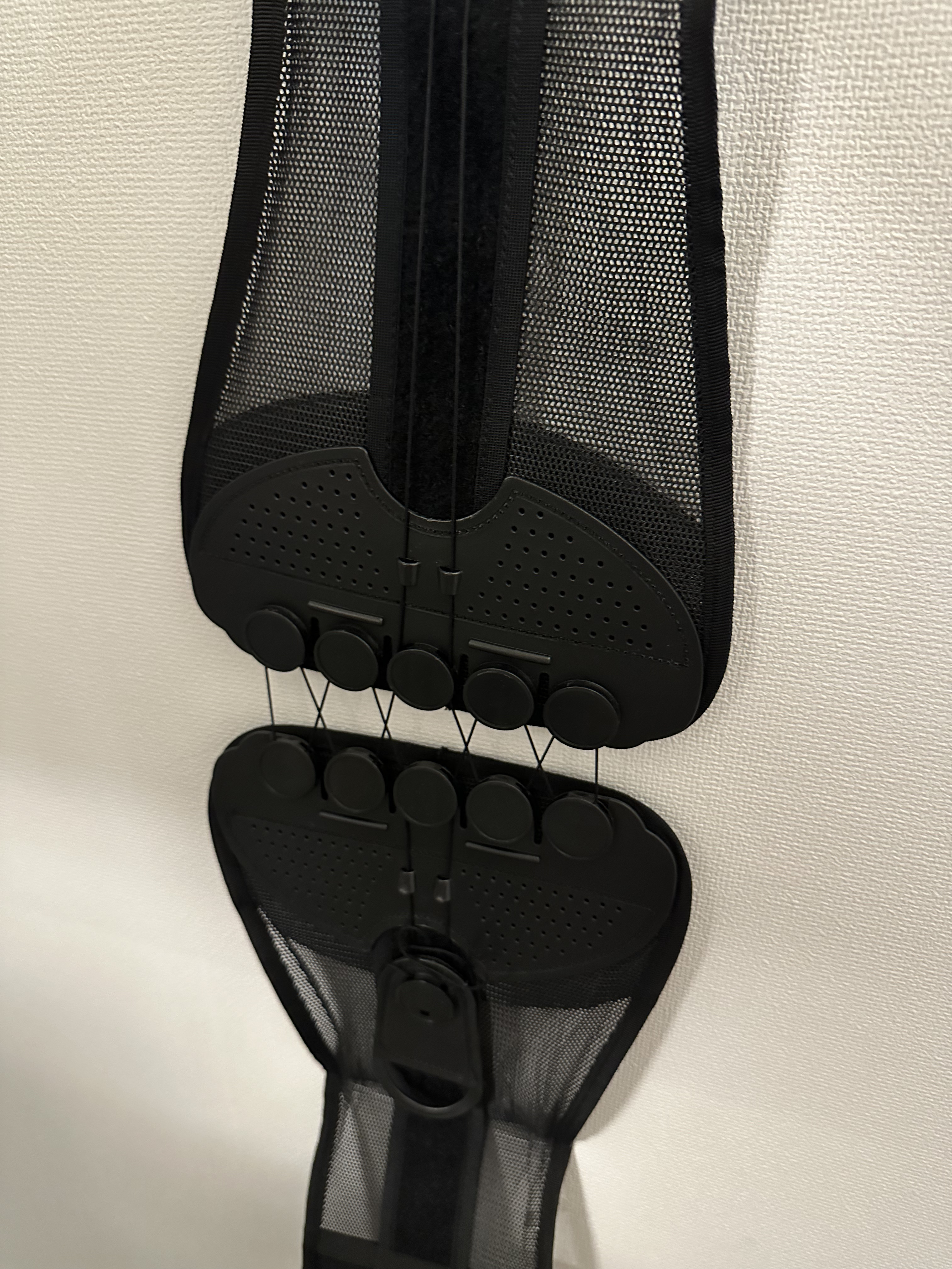 ガードナーベルト/ガードナー/その他を使ったクチコミ（1枚目）