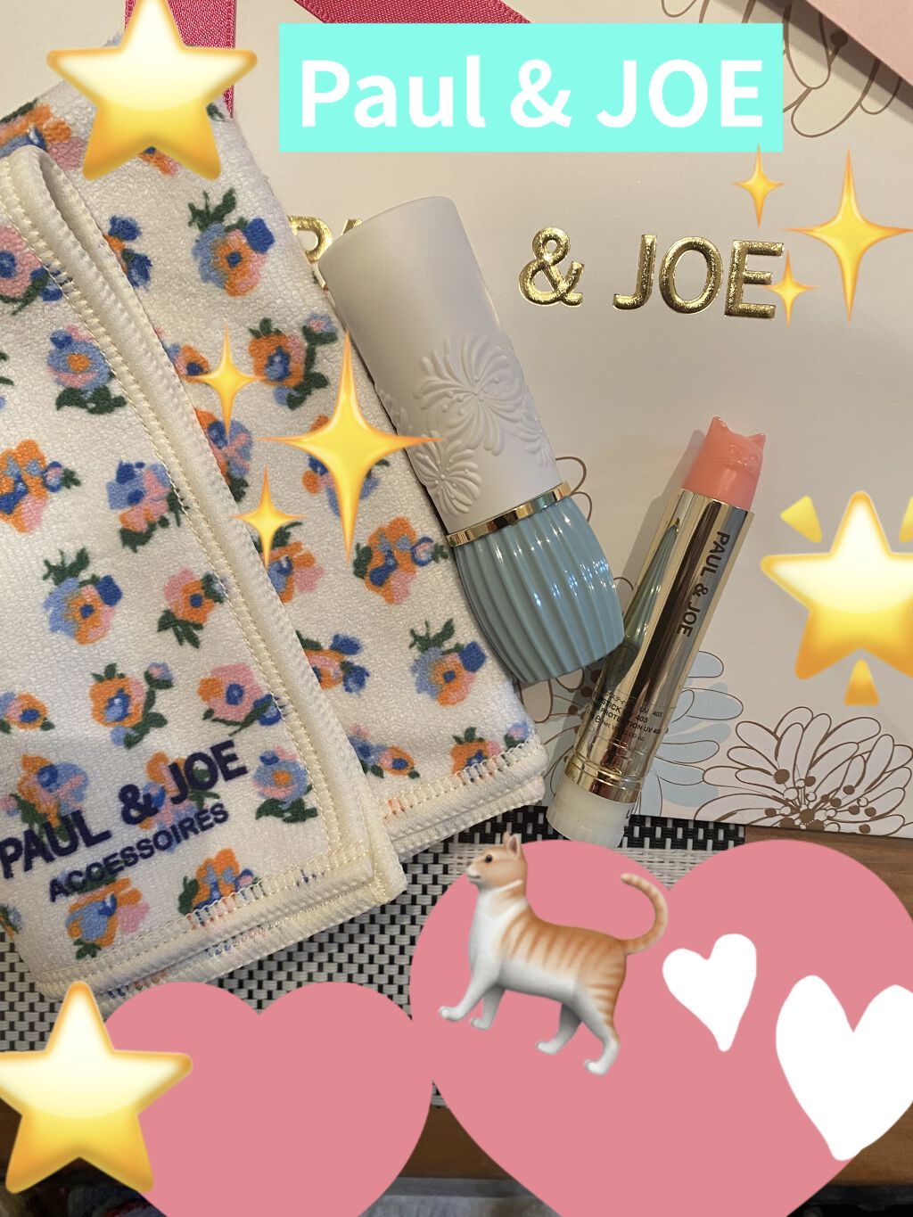 リップスティック N/PAUL & JOE BEAUTE/口紅を使ったクチコミ（1枚目）