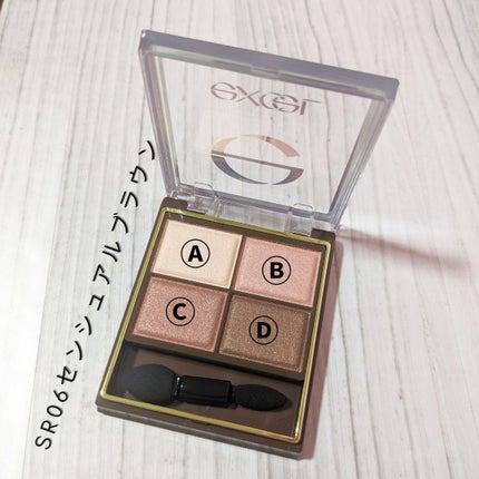 スキニーリッチシャドウ/excel/アイシャドウパレットを使ったクチコミ(2枚目)