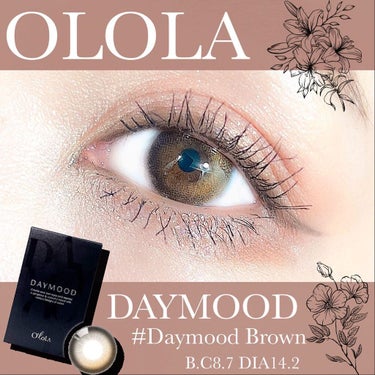 デームードブラウンマンスリー (DAYMOOD BROWN monthly)/OLOLA/１ヶ月（１MONTH）カラコンを使ったクチコミ（1枚目）