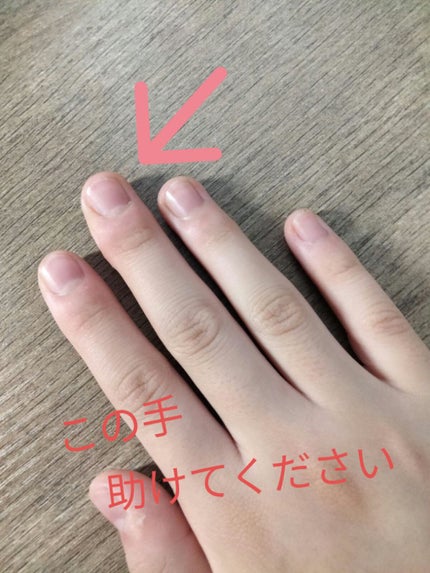 を使ったクチコミ(1枚目)