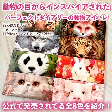 エクスプローラ12色 動物アイシャドウパレット/PERFECT DIARY/アイシャドウパレットを使ったクチコミ(2枚目)