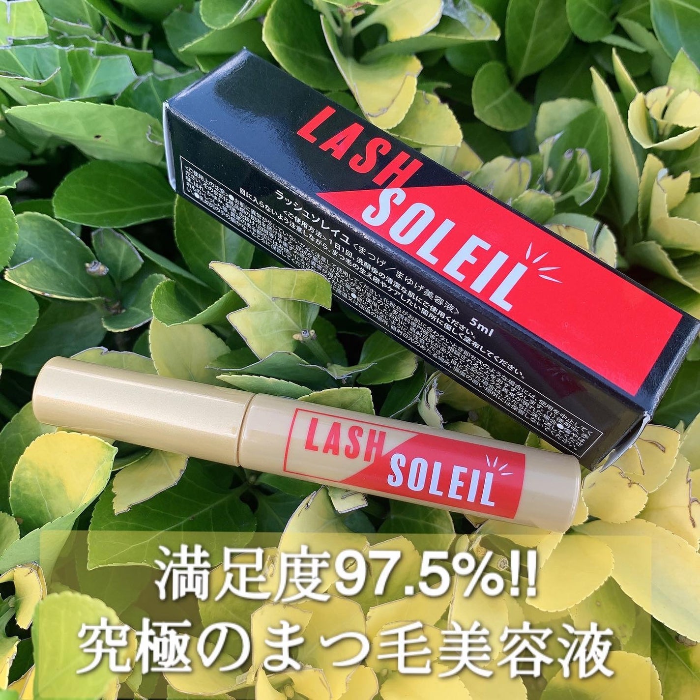 まつ毛美容液/LASH SOLEIL/まつげ美容液を使ったクチコミ(1枚目)