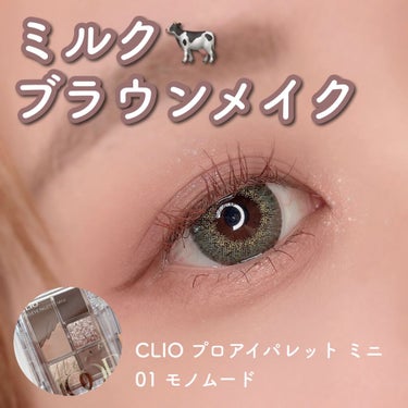 プロ アイパレット ミニ/CLIO/パウダーアイシャドウを使ったクチコミ（1枚目）