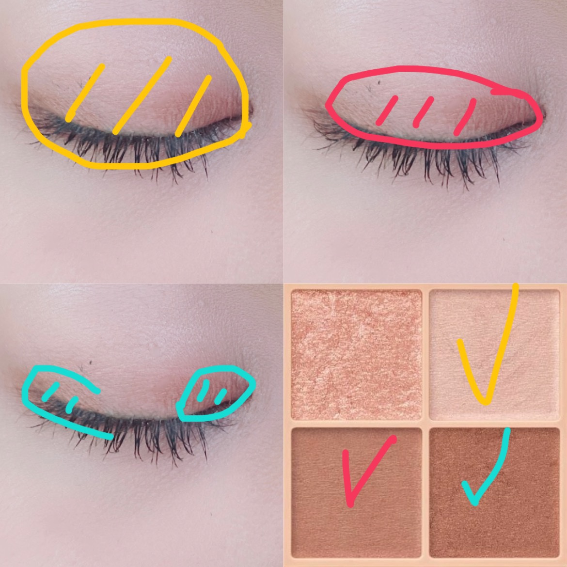 ベージュトーンアイシャドウ/CEZANNE/アイシャドウパレットを使ったクチコミ（2枚目）