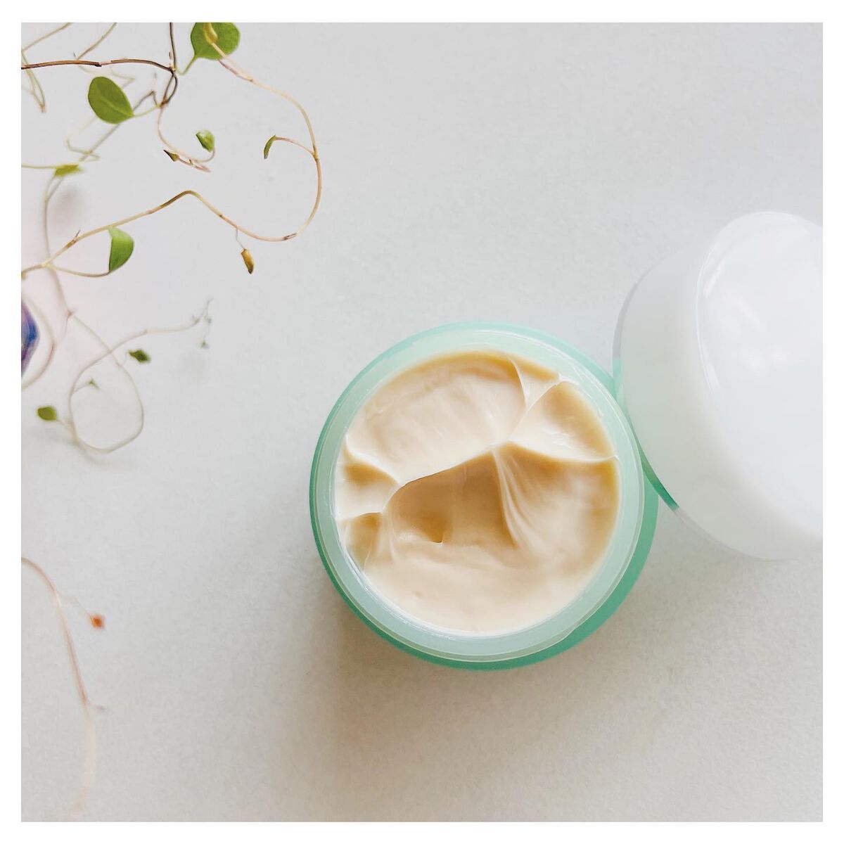 クリームS/ピアベルピア/フェイスクリームを使ったクチコミ(3枚目)