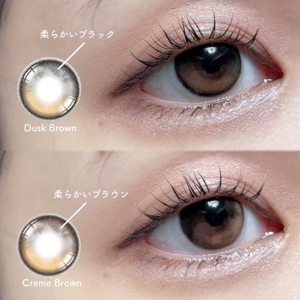 Secretive Kristen/Hapa kristin/カラーコンタクトレンズを使ったクチコミ(3枚目)