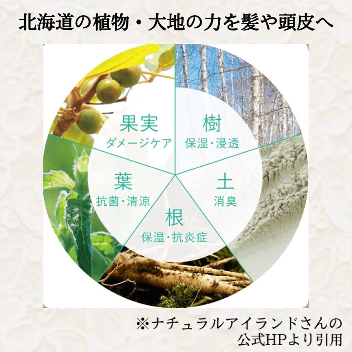 和ハッカのすっきりシャンプー/ナチュラルサイエンス/シャンプー・コンディショナーを使ったクチコミ（2枚目）