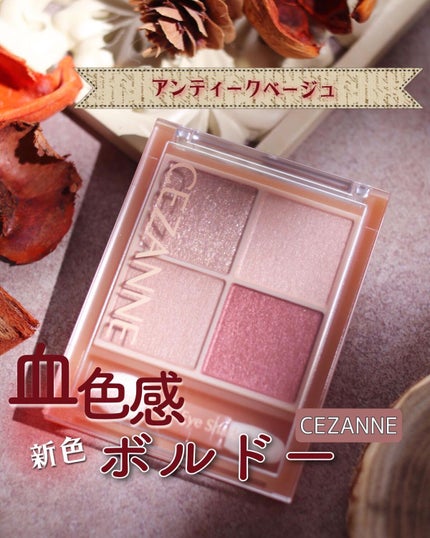 ベージュトーンアイシャドウ/CEZANNE/アイシャドウパレットを使ったクチコミ(1枚目)