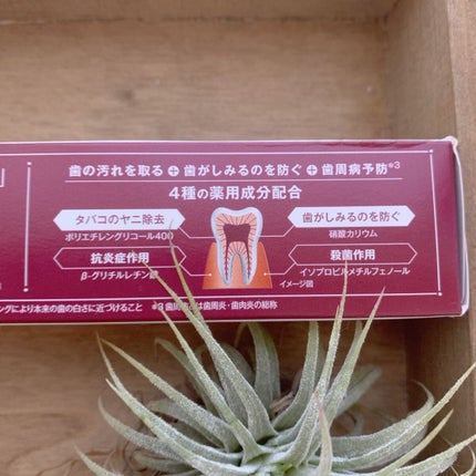 歯磨き堂 薬用ホワイトニングペースト プレミアム/歯磨き堂/歯磨き粉を使ったクチコミ(4枚目)