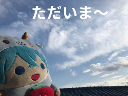 を使ったクチコミ(1枚目)