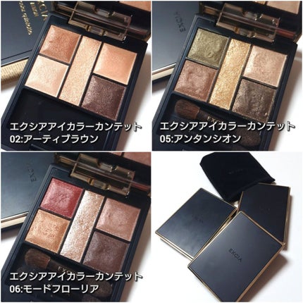 エクシア アイカラー カンテット/ALBION/アイシャドウパレットを使ったクチコミ(2枚目)