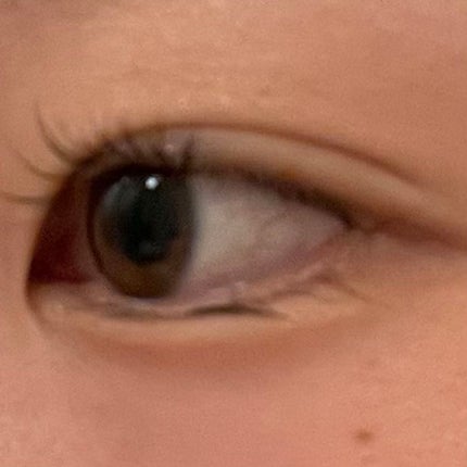 「塗るつけまつげ」自まつげ際立てタイプ/デジャヴュ/マスカラを使ったクチコミ(3枚目)