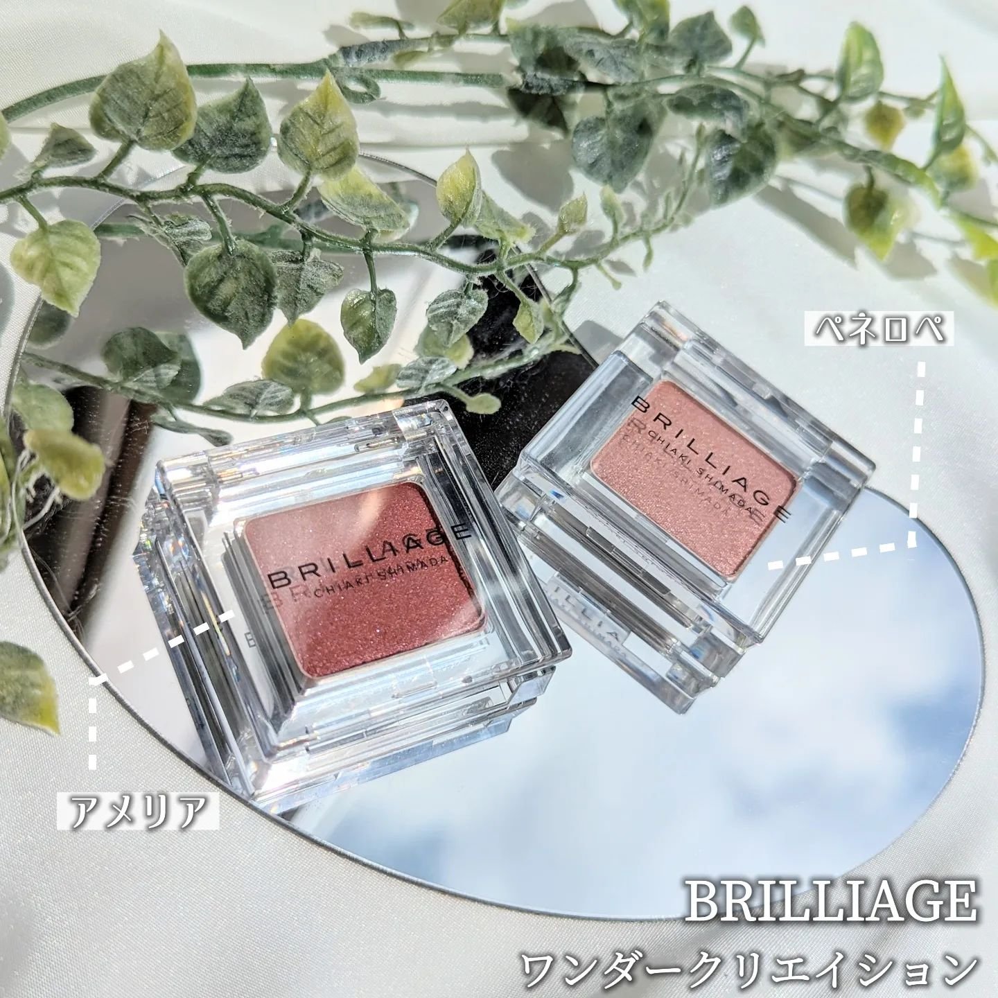 ワンダークリエイション /ブリリアージュ/単色アイシャドウを使ったクチコミ（1枚目）