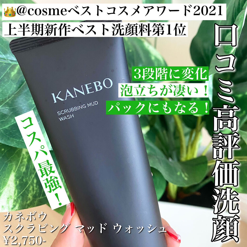 スクラビング　マッド　ウォッシュ/KANEBO/洗顔フォームを使ったクチコミ（1枚目）